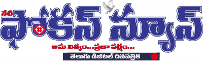 Netifocus News